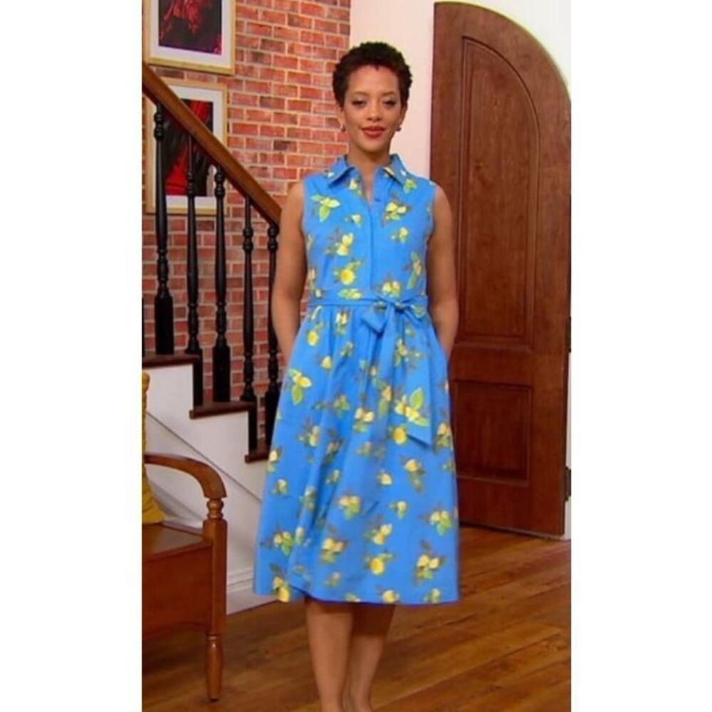 Jason Wu Sleeveless Blue Lemon Printed Collared Button Front Midi Dress XS #754